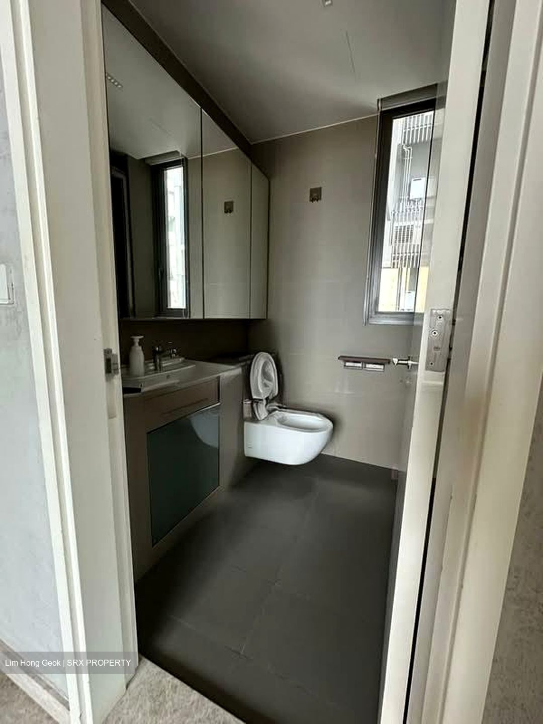 Skyline Residences (D4), Condominium #585357701